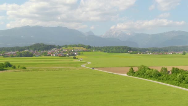 DRONE: Auto guida lungo una strada di campagna vuota che conduce oltre i campi di grano. — Video Stock