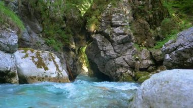 Şaşırtıcı berrak nehir suyu kayalık nehir yatağı boyunca akar..