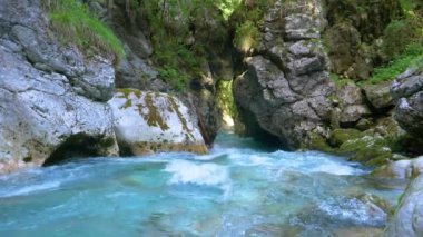 Sakin ormandaki turkuaz renkli bir nehrin nefes kesen manzarası..
