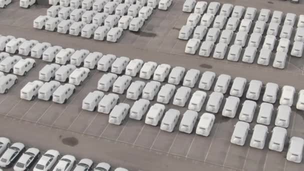 AERIAL Inúmeros carros embrulhados em papel branco estão estacionados em enorme parque de armazenamento — Vídeo de Stock