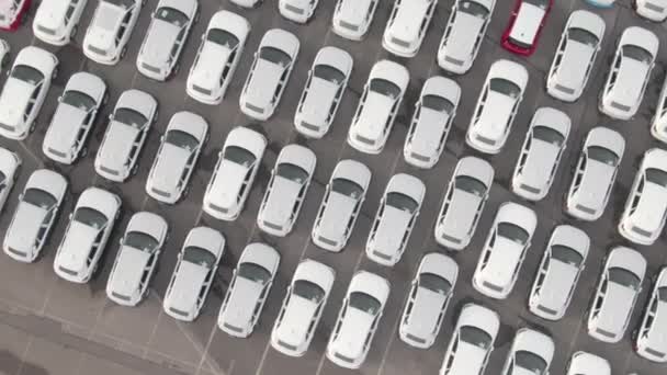 TOP DOWN : Survoler les voitures enveloppées de blanc garées dans le parking du concessionnaire automobile