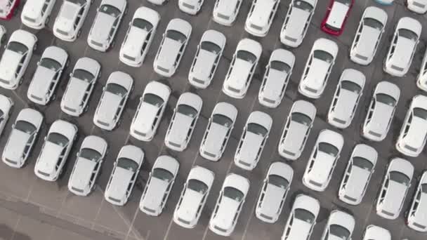 ARRIBA: Volar sobre los coches envueltos en blanco estacionado en el estacionamiento del concesionario de automóviles — Vídeo de stock