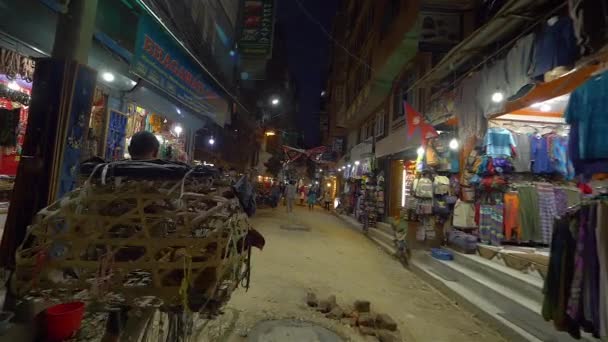 CLOSE UP: Local man walking alongside his old bike and carrying live chickens. — Stock Video