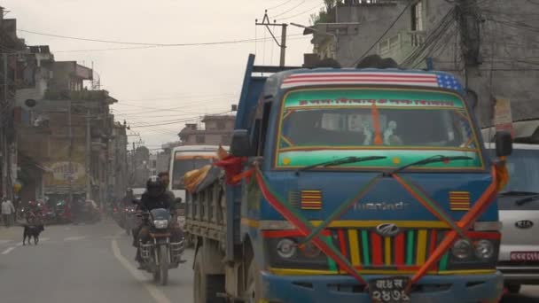 Черная бродячая собака пересекает оживленную асфальтовую дорогу в центре Катманду . — стоковое видео