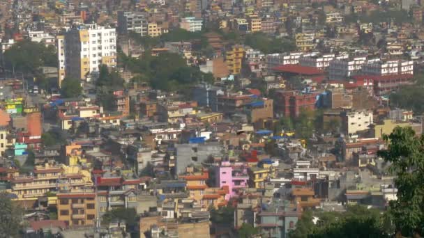 SLOW MOTION : Superbe prise de vue d'une grande ville d'Asie et d'un oiseau sauvage volant au-dessus . — Video