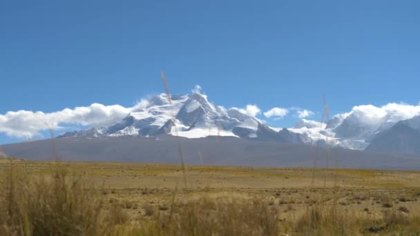 特写：青草在风中飘扬，穿过广阔的藏人平原. — 图库视频影像