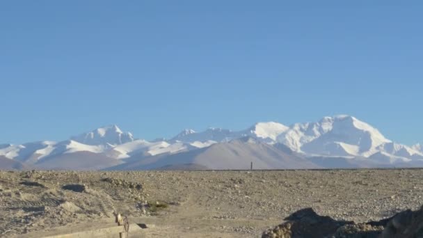 Dos personas locales viajan en moto por un camino vacío y pasado el glaciar en el Tíbet — Vídeos de Stock