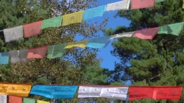 Tibet 'te park boyunca uzanan caddenin karşısındaki renkli bayraklar