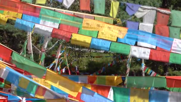 CLOSE UP: Traditional Tibetan flags wave in the breeze blowing through a park — Stock Video