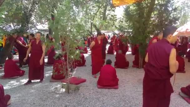 Monjes vestidos de rojo aplauden mientras debaten en el patio del monasterio de Será. — Vídeo de stock