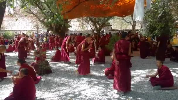 Mönchsgruppe trifft sich im Klosterhof und debattiert vor Besuchern — Stockvideo