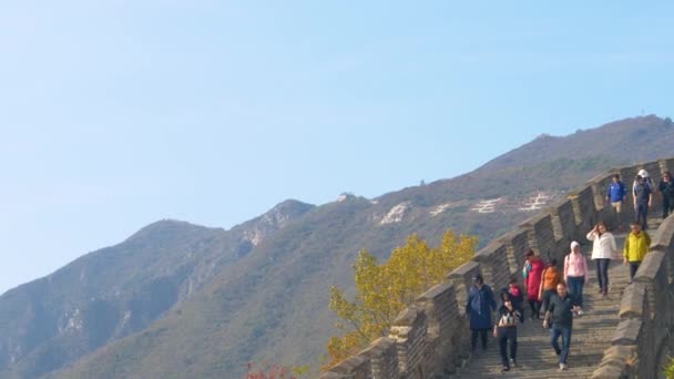 Cestovatelé jdou dolů po schodech na vrcholu velkolepé Velké čínské zdi. — Stock video