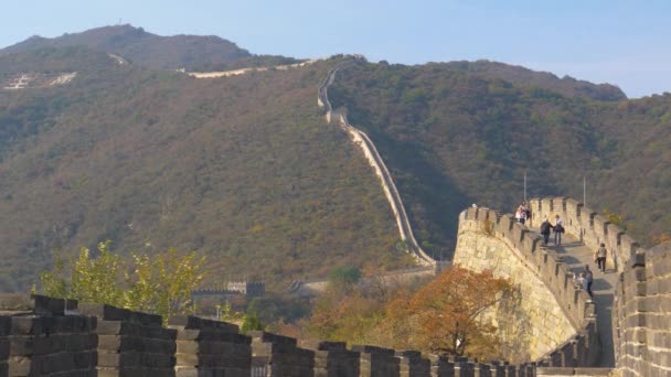 SLOW MOTION: Antiga Grande Muralha da China sobe uma montanha coberta de floresta — Vídeo de Stock