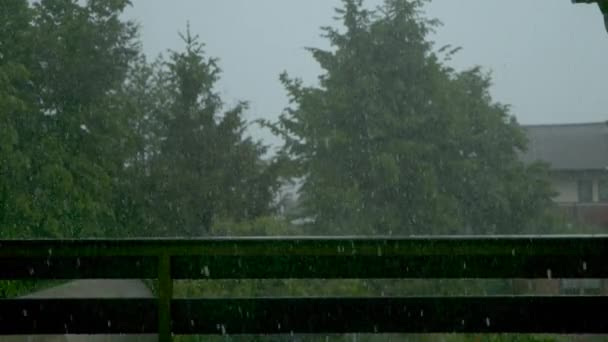 CLOSE UP: Scenic shot from a balcony of the green backyard during a rainstorm. — Stock Video