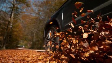 Büyük 4x4 araç kahverengi yapraklarla dolu bir yol boyunca ilerliyor..