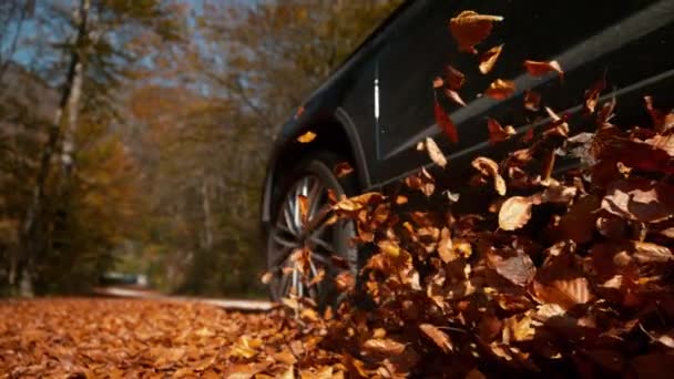 Büyük 4x4 araç kahverengi yapraklarla dolu bir yol boyunca ilerliyor.. — Stok video