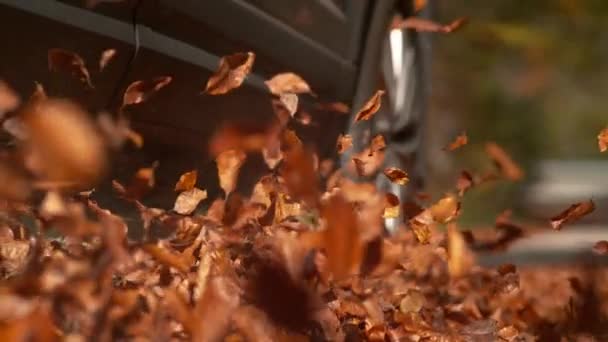 LOW ANGLE, DOF: Neue metallic-blaue Geländewagen-Räder wirbeln herabgefallenes Laub auf — Stockvideo