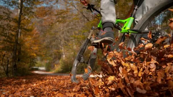 CLOSE UP: Невпізнаваний чоловік їде на гірському велосипеді в купу опалого листя — стокове відео