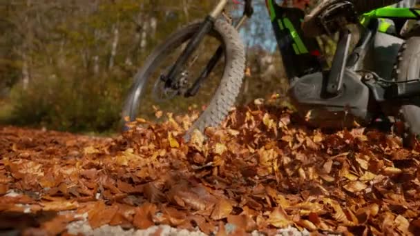 LOW ANGLE Spadają kolorowe liście latać w powietrzu, jak człowiek jeździ na rowerze w dół żwiru szlaku — Wideo stockowe