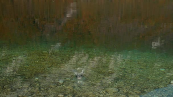 CERRAR: Escénica toma de una roca cayendo en un lago esmeralda y haciendo un chapoteo — Vídeo de stock