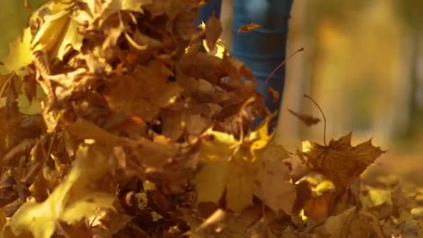 CLOSE UP: Unrecognizable girl kicking leaves as she walks through colorful woods — Stock Video