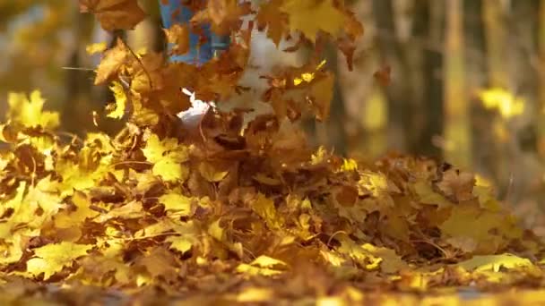 CLOSE UP: Verspielte Frau, die bei einem Spaziergang einen Haufen buntes, trockenes Laub hochtritt — Stockvideo