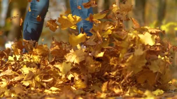 CLOSE UP: Cinematic shot of a woman in jeans playfully kicking dry tree leaves. — Stock Video