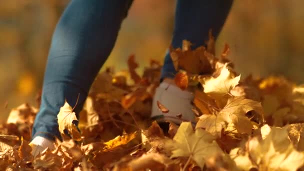 LÄGG: Kvinna i smala jeans springer lekfullt längs en stig full av löv — Stockvideo