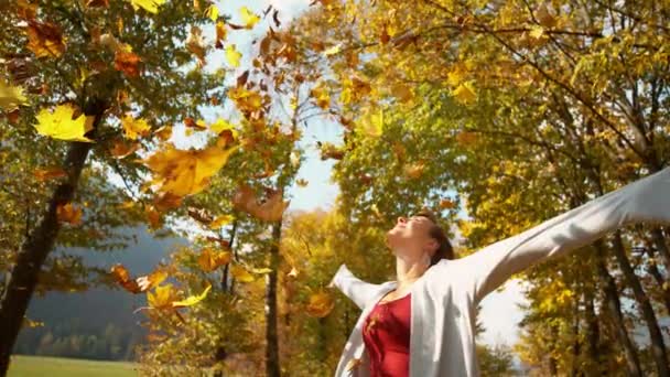 FERMER : Fille heureuse étend les bras que les feuilles colorées tombent de la cime des arbres