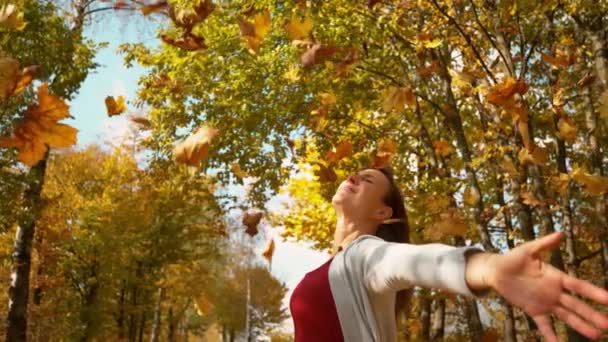 COPY SPACE: Cinematic shot of carefree woman letting colorful leaves fall on her — Stock Video