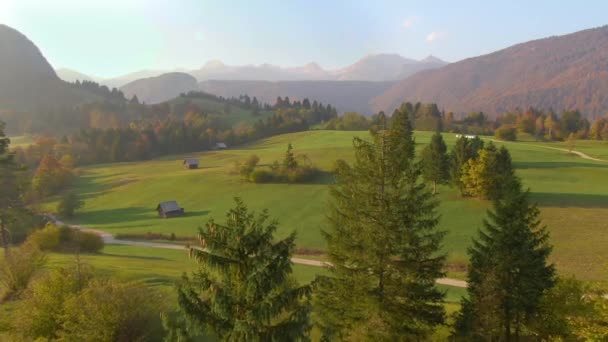 AERIAL: Gyönyörű zöld rétek szlovén vidéken a napos őszi estén — Stock videók