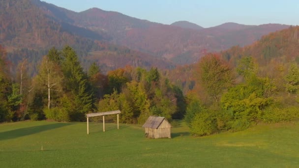 AERIAL: Repül körül egy kis faház közepén egy legelő Bohinj. — Stock videók