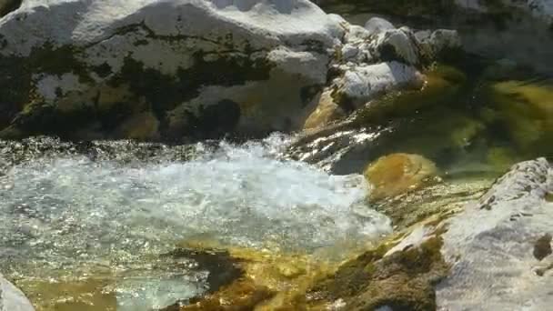 CLOSE UP: Kristallklarer Gebirgsbach in Bohinj fließt am felsigen Flussbett entlang — Stockvideo