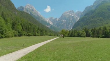 Güzel vadi boyunca uzanan boş bir asfalt yolda uçuyorum..