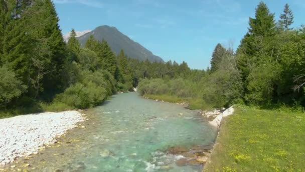 DRONE: Політ вздовж красивої бірюзової річки, що проходить через ліс . — стокове відео