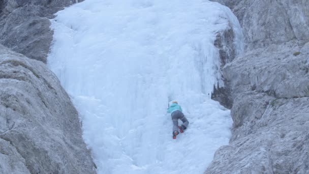 Femme athlétique avec des crampons et des piolets écaille la magnifique cascade gelée. — Video