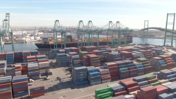 DRONE: Latanie nad kolorowymi kontenerami towarowymi i dużym dokowanym statkiem towarowym — Wideo stockowe