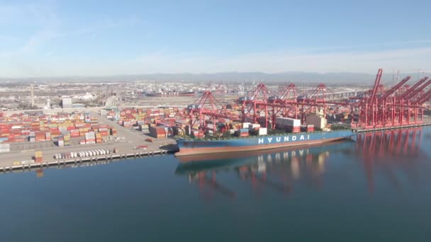 DRONE: Hyundai freighter is loaded up by massive industrial cranes in port of LA — Stock Video