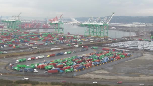 AERIAL: Spettacolare scatto di un terminal di importazione del Porto di Los Angeles. — Video Stock