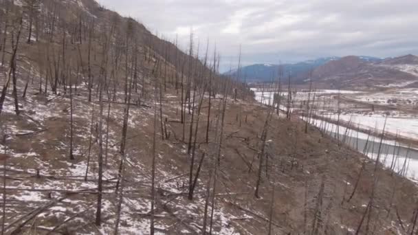 AERIAL: Flying over the bleak forest damaged by fire in a snowy valley in Canada — 图库视频影像
