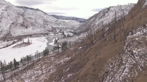 DRONE: Vista lúgubre de un bosque quemado y el invernal desierto canadiense . — Vídeos de Stock