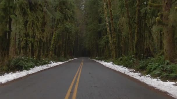 AERIAL: Latanie po pustej asfaltowej drodze wiodącej przez bujny las deszczowy Hoh. — Wideo stockowe