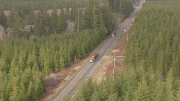 AERIAL: Dos grandes plataformas transportan troncos por una autopista que conduce a través de un bosque de pinos — Vídeos de Stock