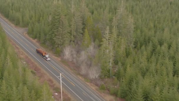 Snabbare transporter av tunga stockar längs en tom asfalterad motorväg.. — Stockvideo