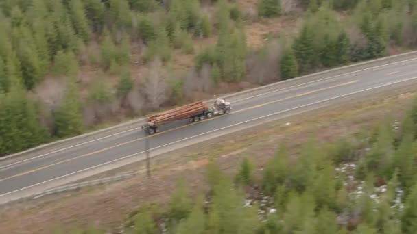 DRONE: 18 wheeler hauls heavy logs down freeway leading through a pine forest — Stock Video
