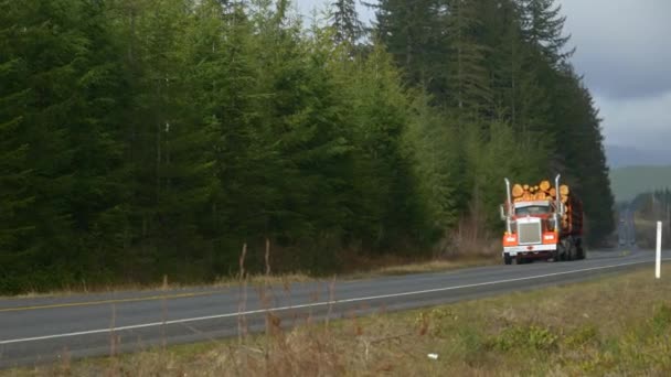 Велика вишка транспортує колоди по шосе, що перетинає Національний ліс Олімпік. — стокове відео