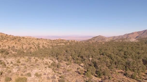 DRONE: Voando sobre arbustos cobrindo a paisagem árida nos arredores da Califórnia — Vídeo de Stock