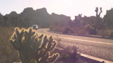 Joshua Tree Ulusal Parkı 'na giden yol boyunca araba sürüyor.