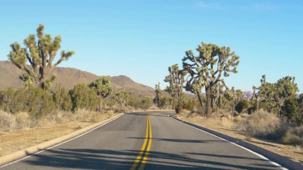 Carretera interestatal vacía atraviesa un parque nacional lleno de palmeras de yuca. — Vídeos de Stock