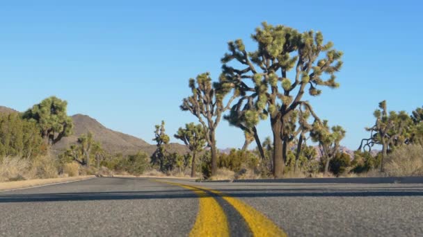 Nízký úhel: Prázdná cesta vede přes národní park plný yucca palem. — Stock video